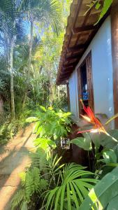 Casa Jardim & Bangalôs