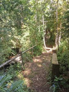 Pillang Likan tinas calientes, el poder del Volcan