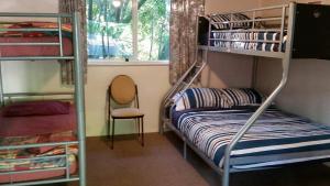 Egmont Eco Leisure Park & Backpackers