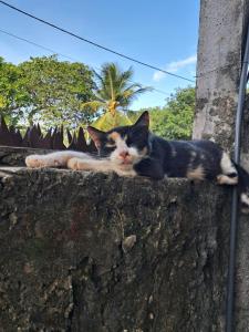Chalés Hibiscus Pipa - ar, cozinha e banheiros privados, estacionamento interno