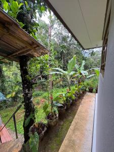 Gunarathnas Homestay
