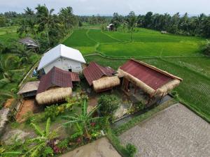 Rice Field Bungalow