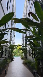 Апартаменты VIP Great Hill Най - Янг