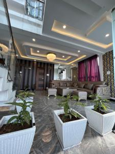 Razain suites