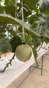 Montana Cotswolds Resort