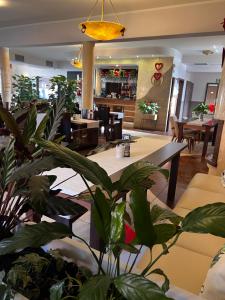 Matrioszka Pokoje Hotelowe