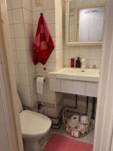 Cozy studio in the heart of Helsinki