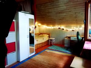 Wild Art Wooden house