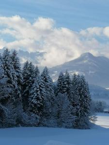 Ferienwohnung Achhorner