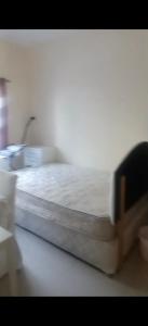 ايو ظبي شارع النجدة