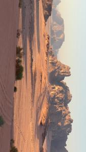 Wadi Rum Royal Camp