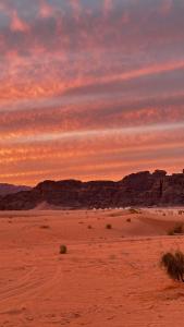 Wadi Rum Royal Camp