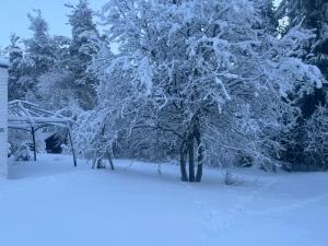 Apartment Northernlightroad