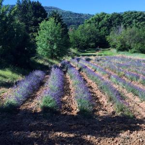 Château de Peyrolles