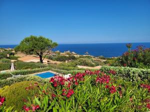 Sa blu del mare 2 img14