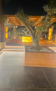 VCV Property Management