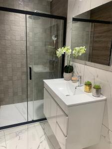 Studio cœur de ville