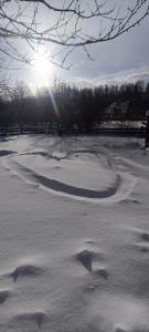 Apartamenty Brzozowa 4