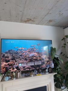 Modernes Haus nahe Köln Zentrum- 10 min