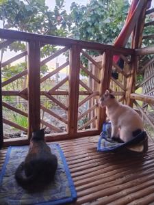 Homestead Farm Payag Bahay Kubo