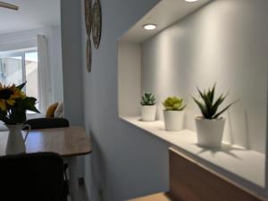 Estudio Deluxe Almuñécar