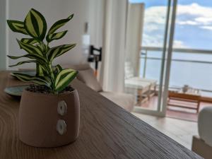 Estudio Deluxe Almuñécar