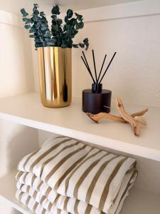 Agave Sol Haus Organic Luxury Scottsdale Home