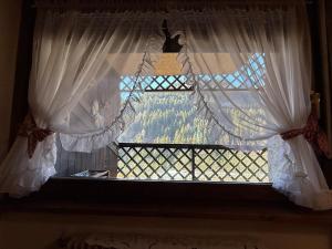 Red Alpine Olympic Apartment near Cortina