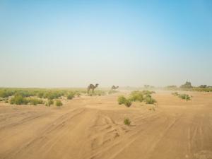 Authentic Sahara with Locals