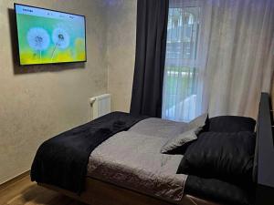 Mostique Spa Apartament with Jacuzzi
