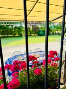 Garden House 20 minutes from Milan