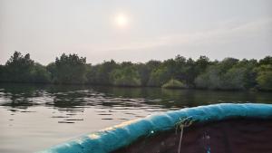Lotus Munroe Homestay