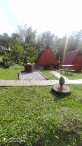 Finca Las Palmas - San Luis