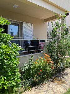 Apartmani Mario Pustahija 2