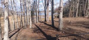 The Lake Cottage Hideaway