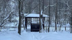Cottage by the river Valea Draganului