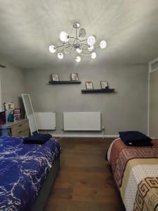 A Modern Homely apartment near Big-Ben -