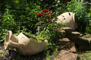 Villa Sweet Simius img40