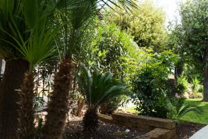 Villa Sweet Simius img39