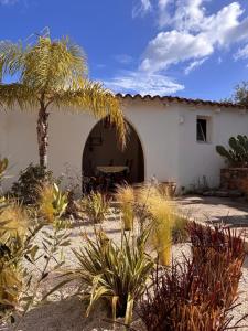 Dòmo Anděl Sardinia img7