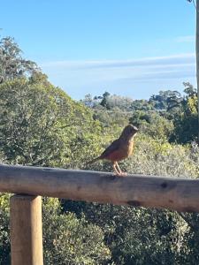 La Luna, casa mágica en sierras!