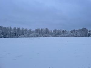 Smaland House Nature & Calm