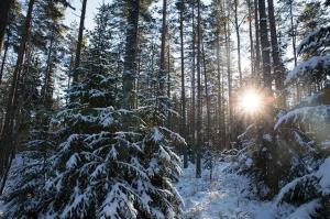 Smaland House Nature & Calm