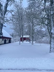 Smaland House Nature & Calm