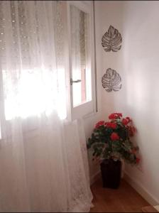 Mi Casa Es Tu Casa