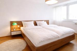 Modern rooftop APT Vienna