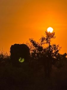 Inn Africa Safari Camp