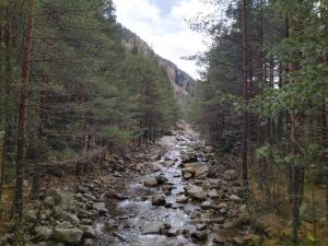 Sunny Studio Eagle Rock