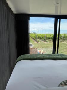 Ultimate Vineyard Escape - Waipara