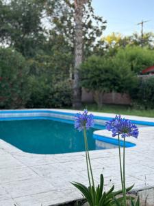 Hosteria Abuelo Juan